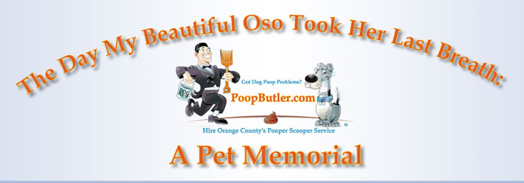 The Day My Beautiful Oso Took Her Last Breath: A Pet Memorial