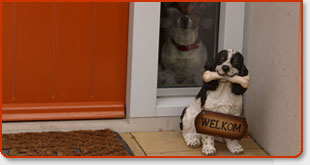 Dog Search Engines – Add Your Website If You Have Either: 1. A Dog Related Website 2. Pooper Scooper Service 3. Business In Orange County