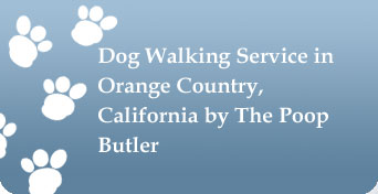 Dog Walking Service in Orange County, California by The Poop Butler