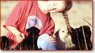Orange County Dog Trainers, Dog Training Facilities & Dog Obedience Classes Also In LA (Los Angeles) +
