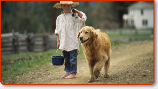 The Poop Butler’s Services & Rates For Dog Pooper Scooper Service & Pet Waste Removal - Orange County, California