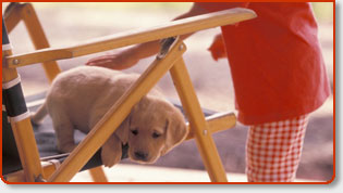 The Poop Butler’s Pooper Scooper Service Gift Certificates For Service In Orange County, California