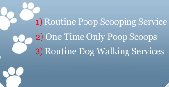 Got Dog Poop? Scheduled Pooper Scooper Service For Your Dogs & Cats In Orange County, California Including Dog Walking